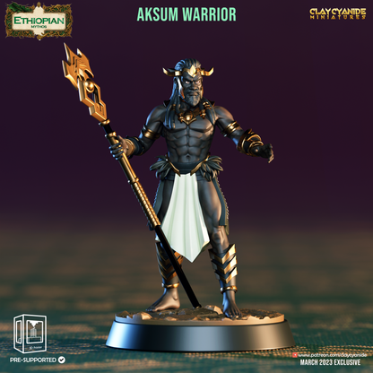 Aksum warriors - Unit