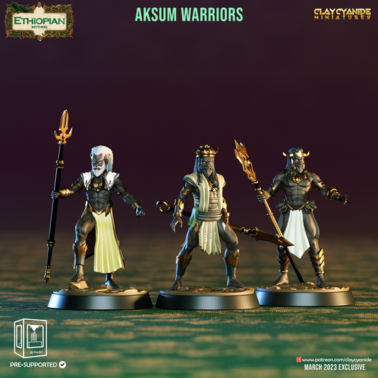 Aksum warriors - Unit