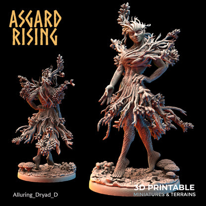 Alluring dryads - unit