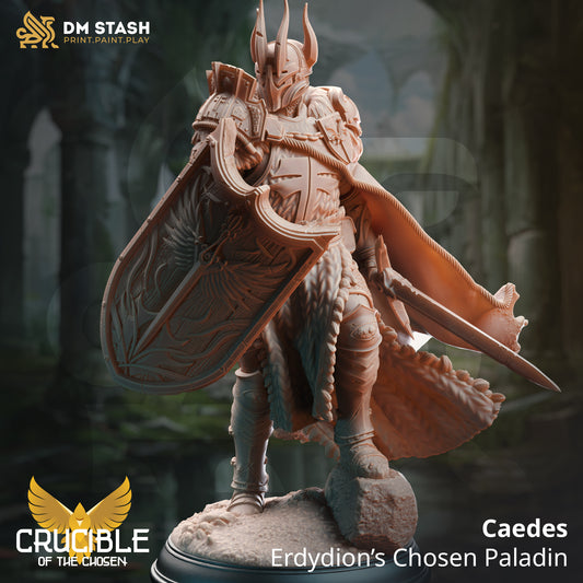 Caedes - Erdydion’s Chosen Paladin