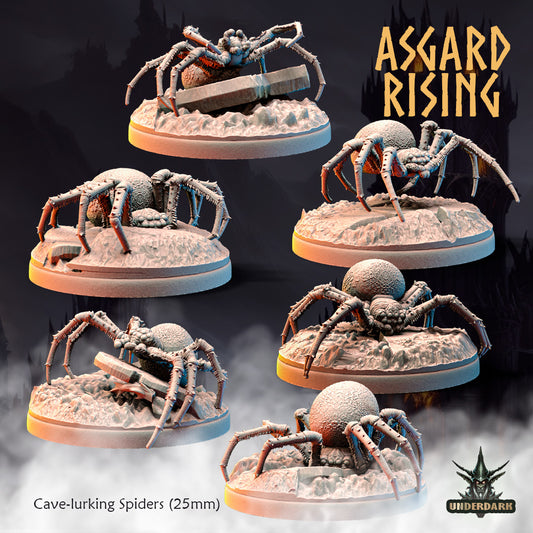 Cavelurking spiders - small - unit