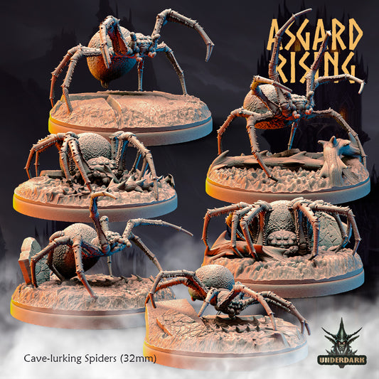 Cavelurking spiders - unit