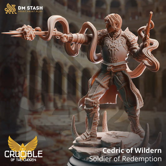 Cedric of Wildern - Soldier of Redemption