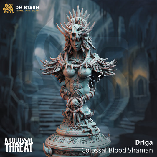 Driga - Female Colossal Blood Mage -Bust
