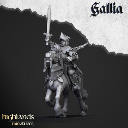 Army of Gallia - battalion 4