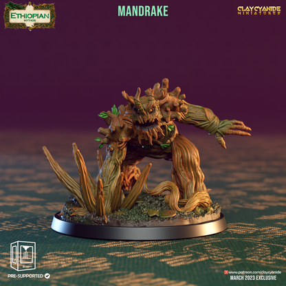 Mandrakes - unit