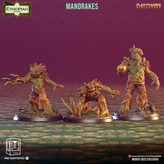 Mandrakes - unit