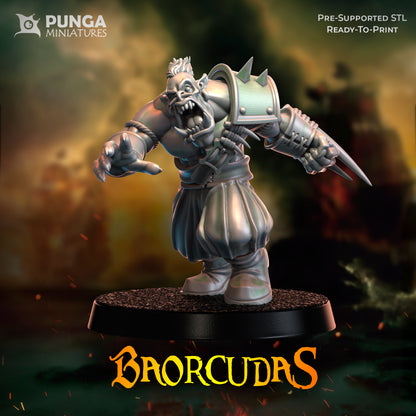 Baorcudas - Complete Set