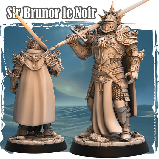 Sir Breunor