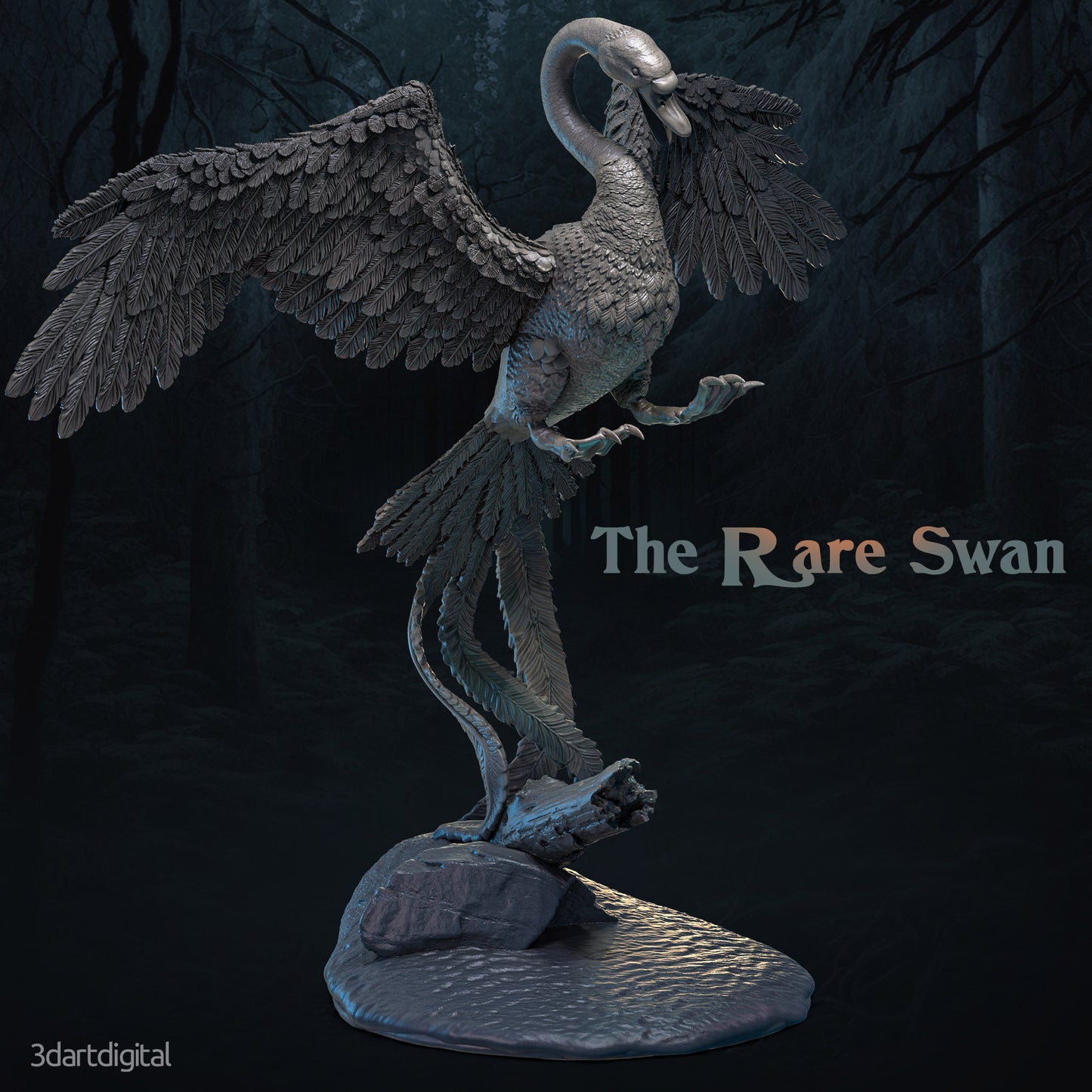 The Rare Swan