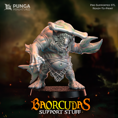 Baorcudas - Complete Set