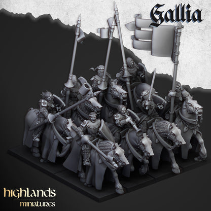 Army of Gallia - battalion 4