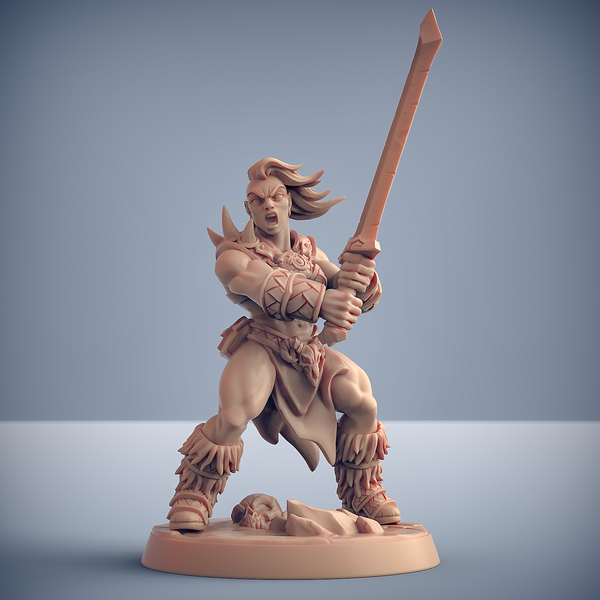 Dragonpeak barbarian D