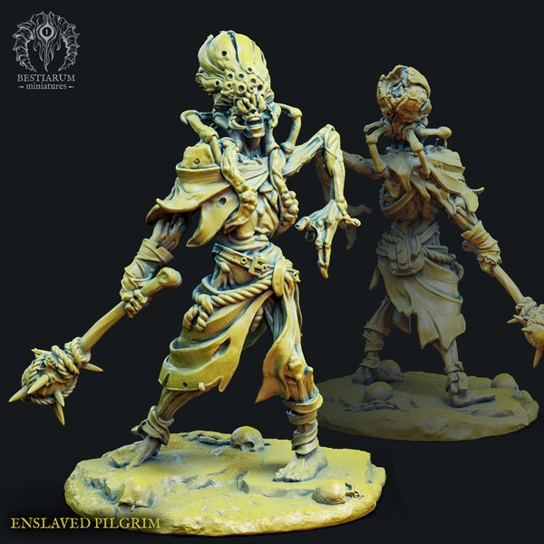 Enslaved pilgrim 3
