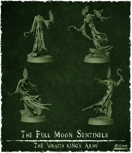 Full moon sentinels - Unit