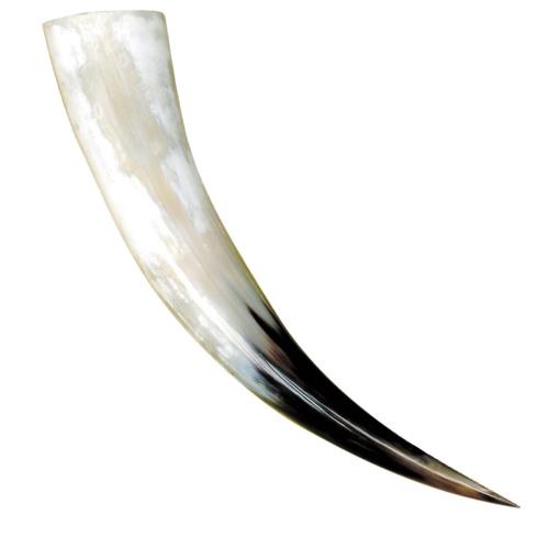 Drinking horn 600-699 ml