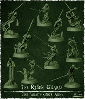 Risen Guard