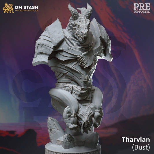 Tharvian - bust