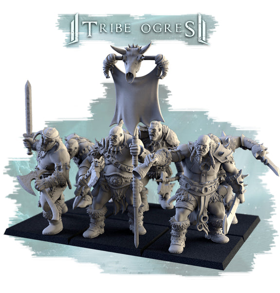 Tribe ogres - Enhed