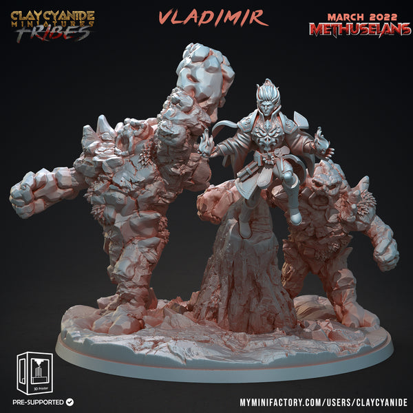 Vladimir