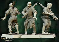 Zombie warriors - unit