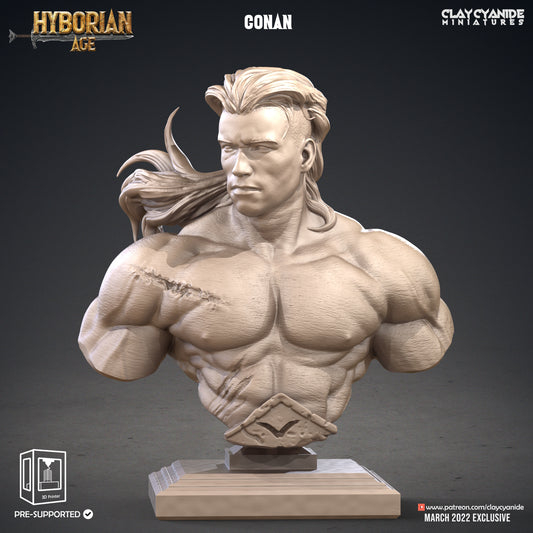 Conan - bust