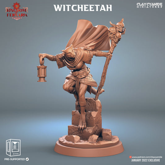 Witcheetah